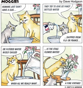 The Complete 4-panel Moggies Cartoon